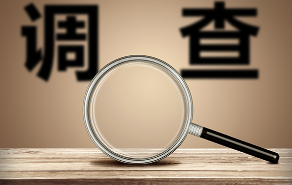 政府采购供应商投诉书范本