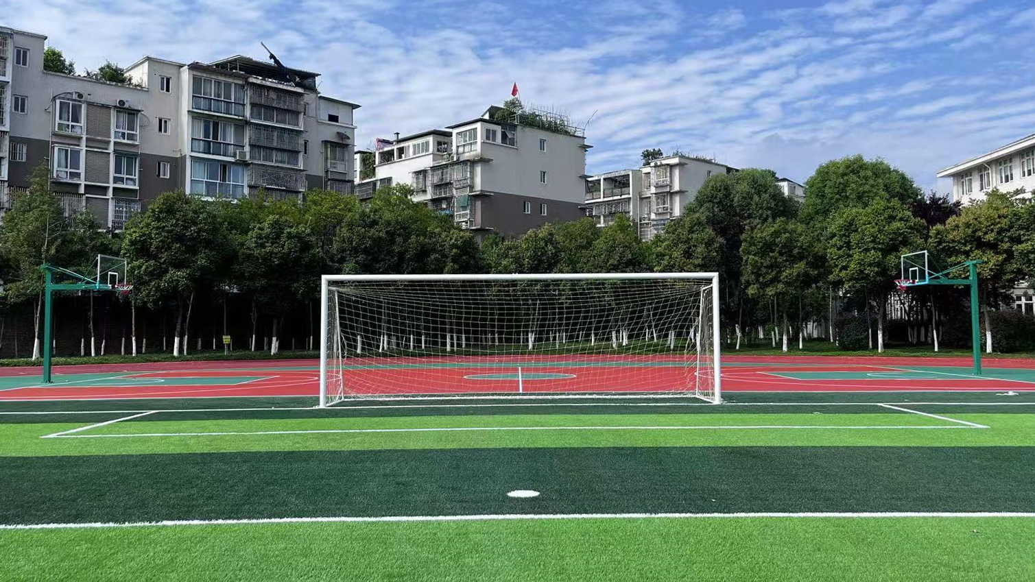 11人制足球门 (1)